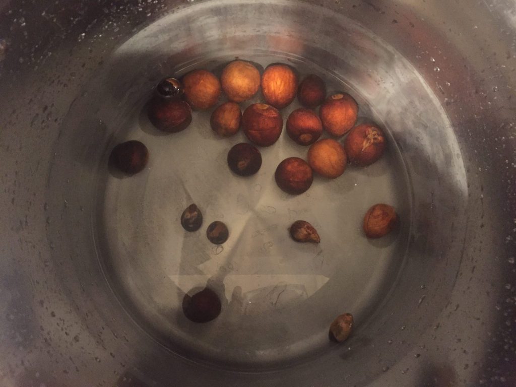 avocado pits in fresh water